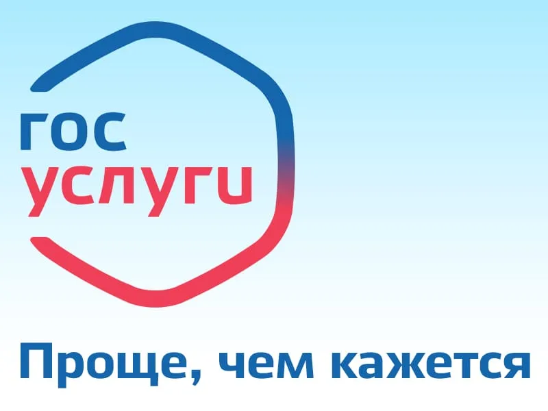 Запуск портала государственных услуг