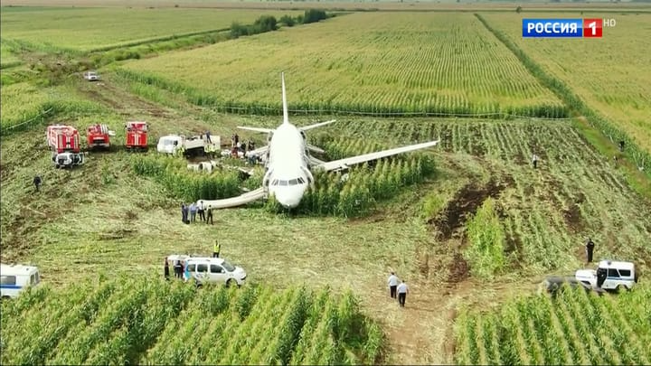 Аварийная посадка «Уральских авиалиний» на кукурузном поле